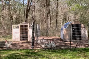 1533 Kickapoo Rd, Groveton, TX 75845 - Photo 41