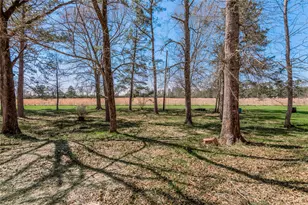 1533 Kickapoo Rd, Groveton, TX 75845 - Photo 29