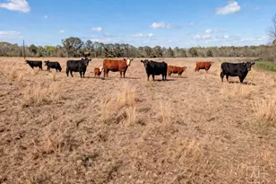 1533 Kickapoo Rd, Groveton, TX 75845 - Photo 39