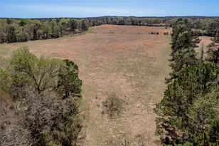 1533 Kickapoo Rd, Groveton, TX 75845 - Photo 39