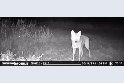 700 Pr 8160, Lovelady, TX 75851 - Photo 25