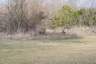 139 Nolan Dr, Georgetown, TX 78633 - Photo 15