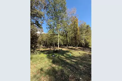 250 Beaver Run, Livingston, TX 77351 - Photo 13