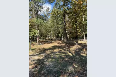 250 Beaver Run, Livingston, TX 77351 - Photo 17