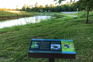 6719 Meadowlawn St, Houston, TX 77023 - Photo 31