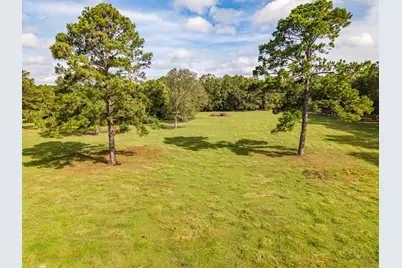 1080 Andrew Jackson Drive, Livingston, TX 77351 - Photo 25