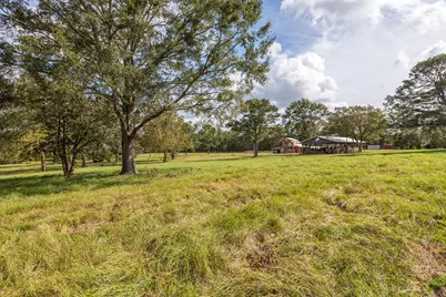 1080 Andrew Jackson Drive, Livingston, TX 77351 - Photo 43