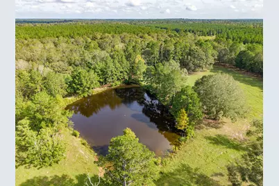 1080 Andrew Jackson Drive, Livingston, TX 77351 - Photo 17