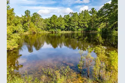 1080 Andrew Jackson Drive, Livingston, TX 77351 - Photo 3