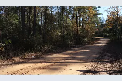 0 Mallard Drive, Coldspring, TX 77331 - Photo 1