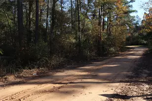 0 Mallard Dr, Coldspring, TX 77331 - Photo 1