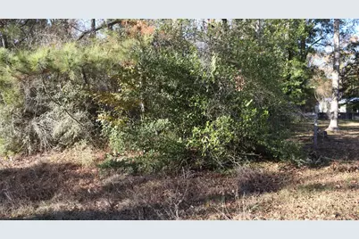 0 Mallard Drive, Coldspring, TX 77331 - Photo 5