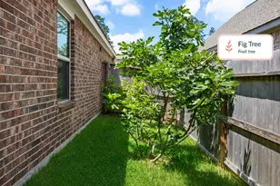 252 Scarlet Maple Wy, Conroe, TX 77318 - Photo 25
