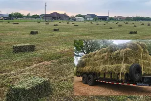 847 Oliver Rd, Victoria, TX 77904 - Photo 23