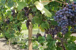 847 Oliver Rd, Victoria, TX 77904 - Photo 21