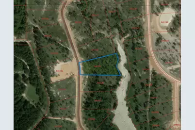 Lot 109 Anna Grace Road, Livingston, TX 77351 - Photo 1