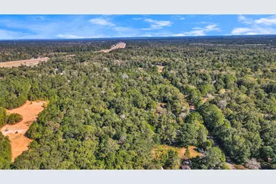 1100 Cherry Creek Drive, Shepherd, TX 77371 - Photo 21