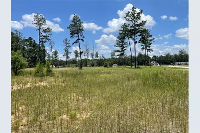 20035 Kincaid Drive, Conroe, TX 77306 - Photo 5