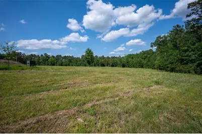 1068 County Road 3200, Colmesneil, TX 75938 - Photo 9