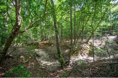 1068 County Road 3200, Colmesneil, TX 75938 - Photo 43