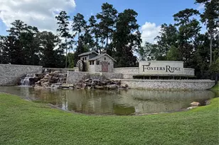14162 Primrose Rdg Ln, Conroe, TX 77384 - Photo 33