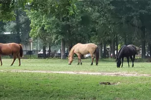 5620 Sapp Rd, Conroe, TX 77304 - Photo 7