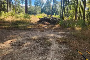 2300 Co Rd 1520, Warren, TX 77664 - Photo 1