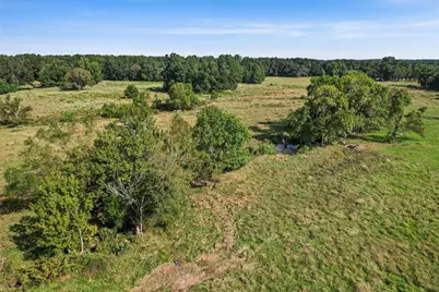 22.4 Acres Bailey Grove Road, Montgomery, TX 77356 - Photo 37