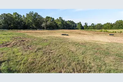 22.4 Acres Bailey Grove Road, Montgomery, TX 77356 - Photo 7