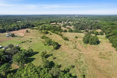 22.4 Acres Bailey Grove Road, Montgomery, TX 77356 - Photo 31