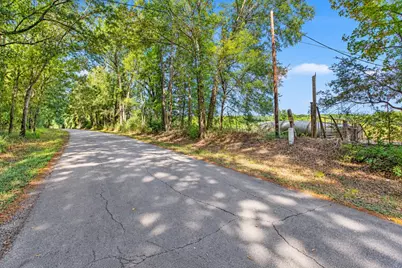 22.4 Acres Bailey Grove Road, Montgomery, TX 77356 - Photo 3