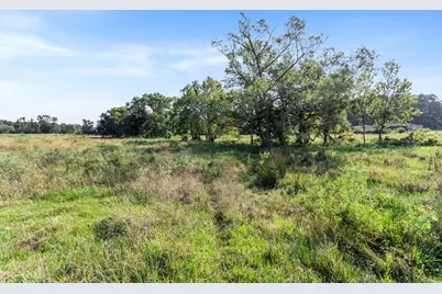 22.4 Acres Bailey Grove Road, Montgomery, TX 77356 - Photo 21