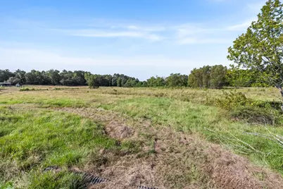 22.4 Acres Bailey Grove Road, Montgomery, TX 77356 - Photo 11