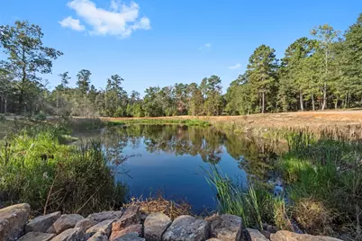 7015 Woodlake Trl, Montgomery, TX 77316 - Photo 21