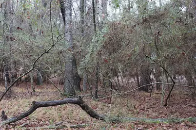 Lot 6 Magnolia Court, Trinity, TX 75862 - Photo 3