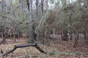 Lot 6 Magnolia Ct, Trinity, TX 75862 - Photo 1