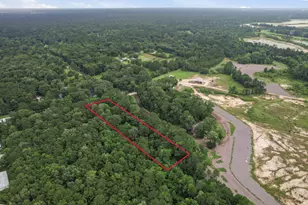 000 Baptist Encampment Rd, New Caney, TX 77357 - Photo 5