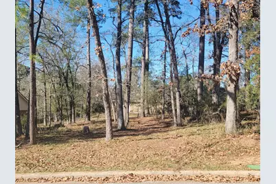 1909 Rollingwood Drive, Huntsville, TX 77340 - Photo 3