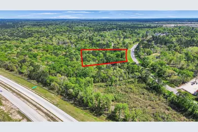 31910 Fm 1485 Road, New Caney, TX 77357 - Photo 1