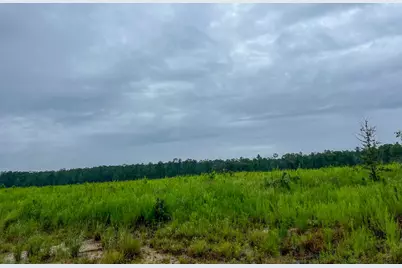 1 Fm 1276, Livingston, TX 77351 - Photo 15