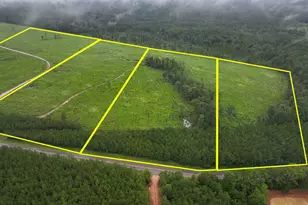 1 Fm 1276, Livingston, TX 77351 - Photo 1