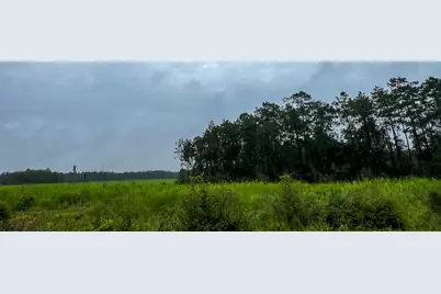 1 Fm 1276, Livingston, TX 77351 - Photo 5