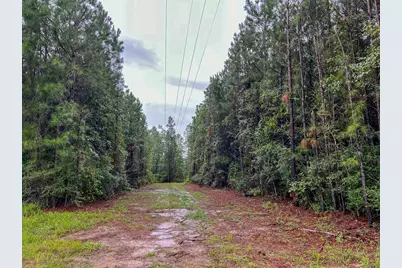 1 Fm 1276, Livingston, TX 77351 - Photo 11