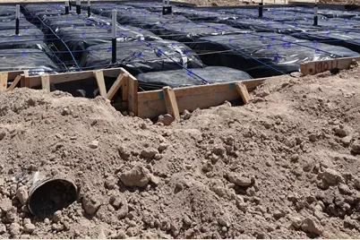 19811 May Lily Meadow Street, Cypress, TX 77433 - Photo 19