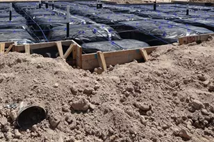 19811 May Lily Mdw St, Cypress, TX 77433 - Photo 19