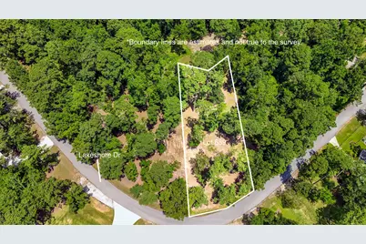 Tbd Lakeshore/Black Walniut Drive, Coldspring, TX 77331 - Photo 3