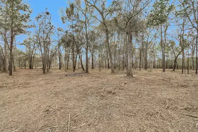 2921 Beasley Road, Conroe, TX 77301 - Photo 13