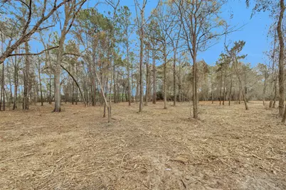 2921 Beasley Road, Conroe, TX 77301 - Photo 11