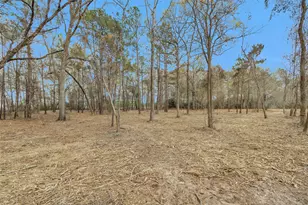 2921 Beasley Rd, Conroe, TX 77301 - Photo 11