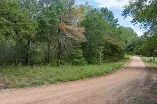 Tbd Dungens Mill Rd, Columbus, TX 78934 - Photo 1